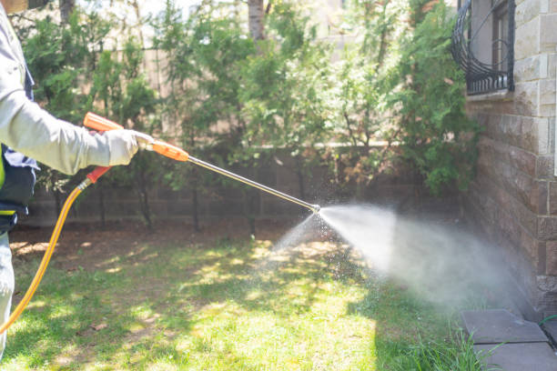 Best Mosquito Control Services  in St Bernard, OH