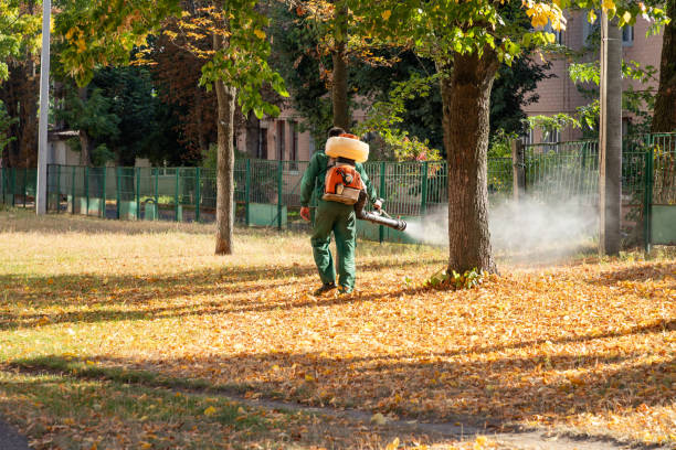 Pest Control Cost in St Bernard, OH